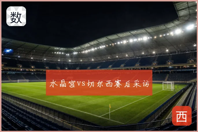 水晶宫vs切尔西赛后采访